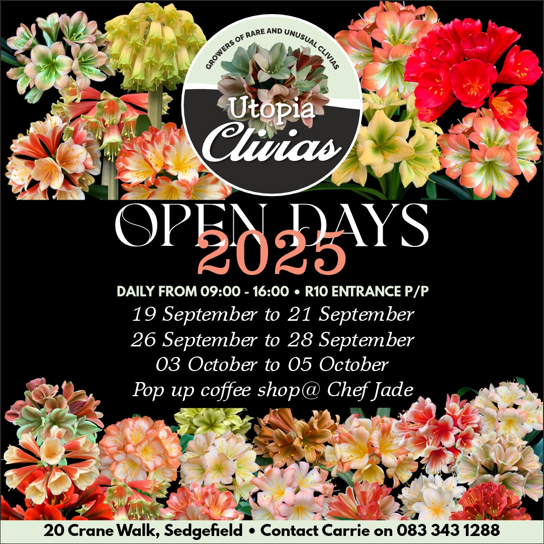 Open Day 2023