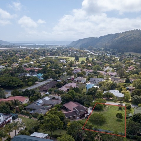 Growing Dreams: Expanding Utopia Clivias 