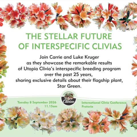 Promoting Clivia Through Education and Outreach
