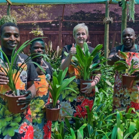 How to Feed and Protect Your Clivias: Complete Guide to Clivia Nutrition, Pest Control & Disease Prevention